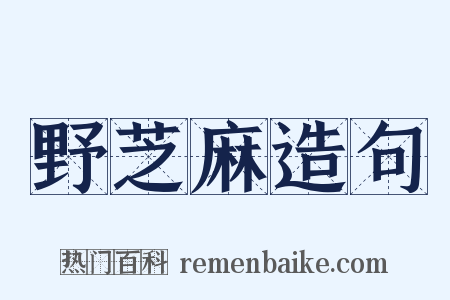 野芝麻造句是什么意思的图片